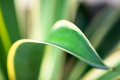 《真三国无双：起源》吕布董卓介绍 义父请受我一拜